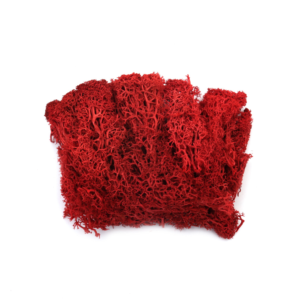 Scandinavian polar moss for decoration,  color red - 10 grams