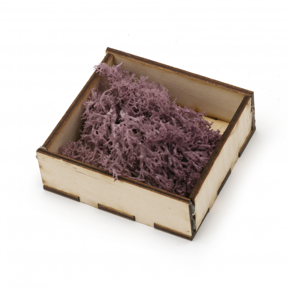 Scandinavian polar moss for decoration,  purple - 10 grams