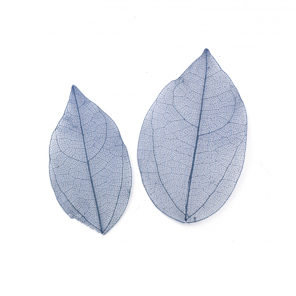 Skeleton Leaves for Decoration /  60x20~90x45 mm / Blue - 20 pieces