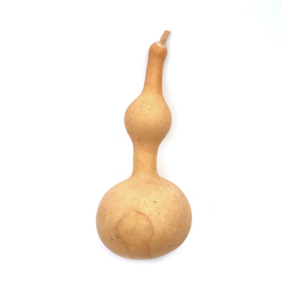 Decorative Gourd 120~150x60~90 mm