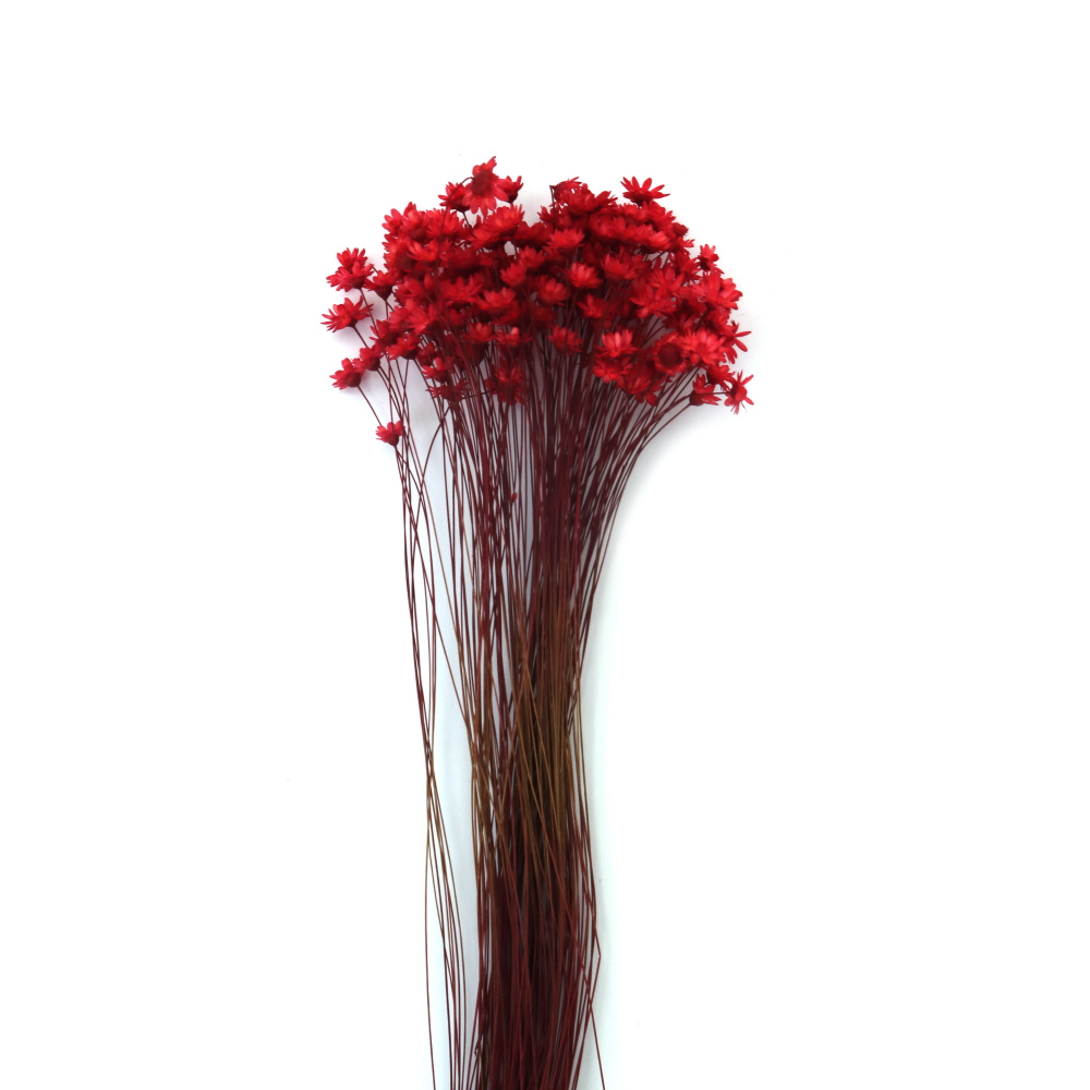 Glixia Dried Flower Bouquet for Decoration, Red Color ~150 Pieces