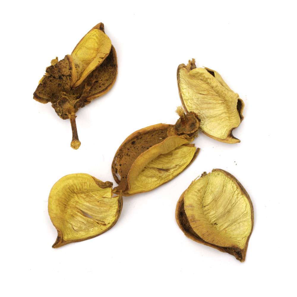 Dry leaves for decoration color yellow ~ 25 grams