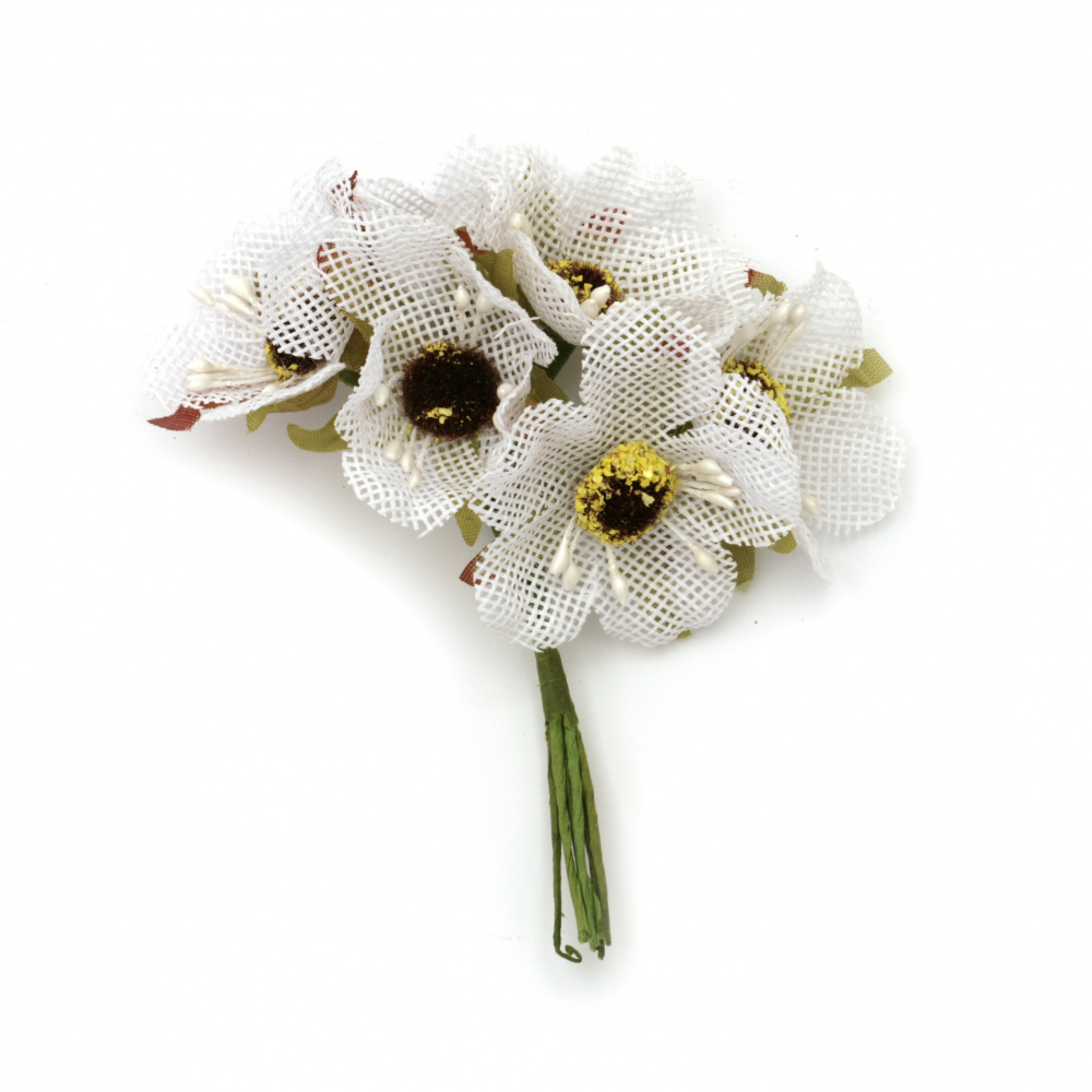 Λουλούδια λινάτσα 50x100 mm σε ματσάκι χρώμα λευκό -6 τεμάχια