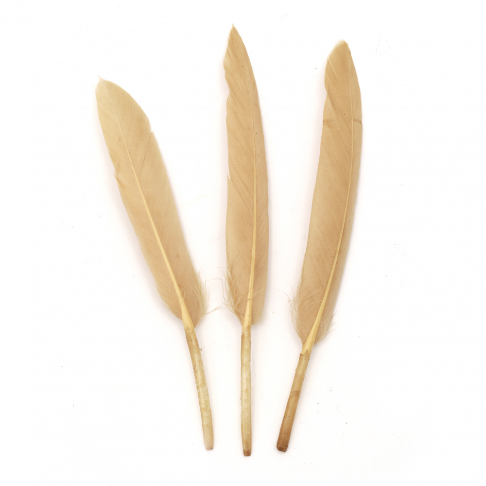 Feathers 100~150x15~20 mm, color pale ocher - 10 pieces