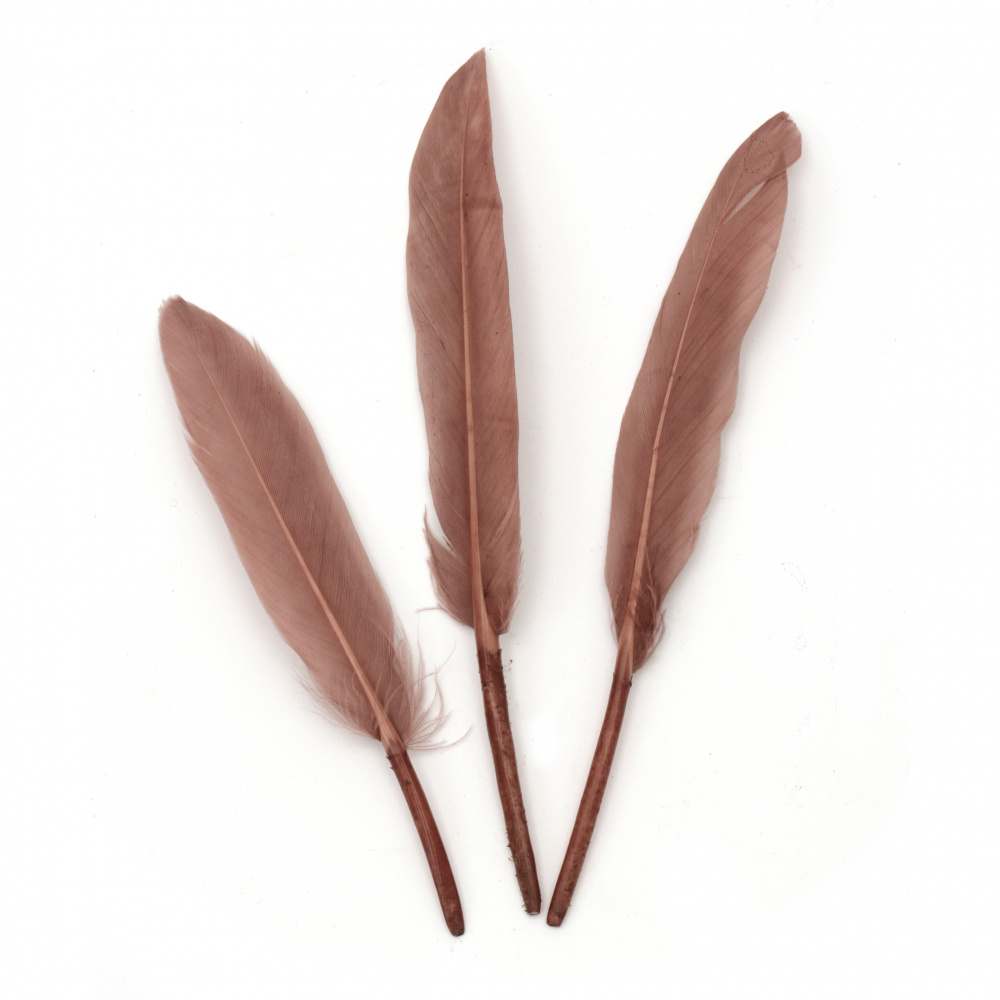 Feather, Dark Ash Rose, 120~170x35~40 mm - 10 pieces
