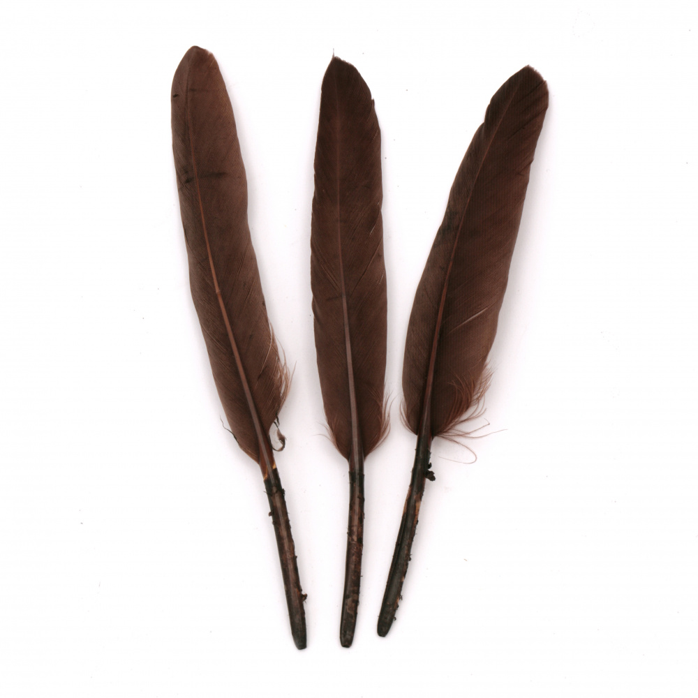 Feather 100~150x15~20 mm, dark brown - 10 pieces