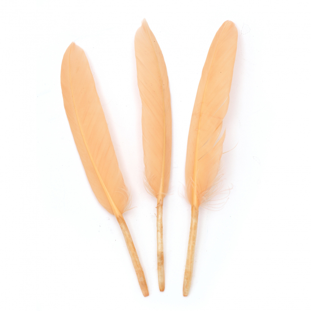 Feather 100~150x15~20 mm, peach color - 10 pieces
