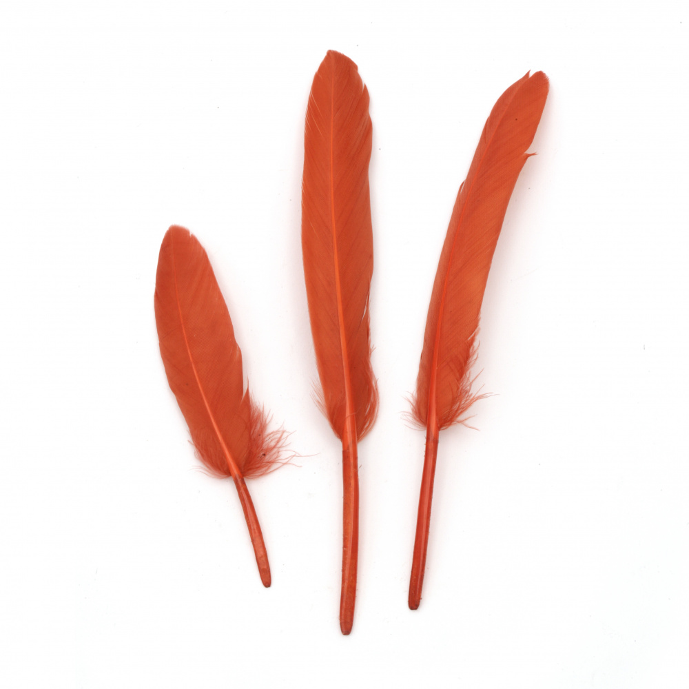 Feather 100±150x15±20 mm, dark orange color - 10 pieces