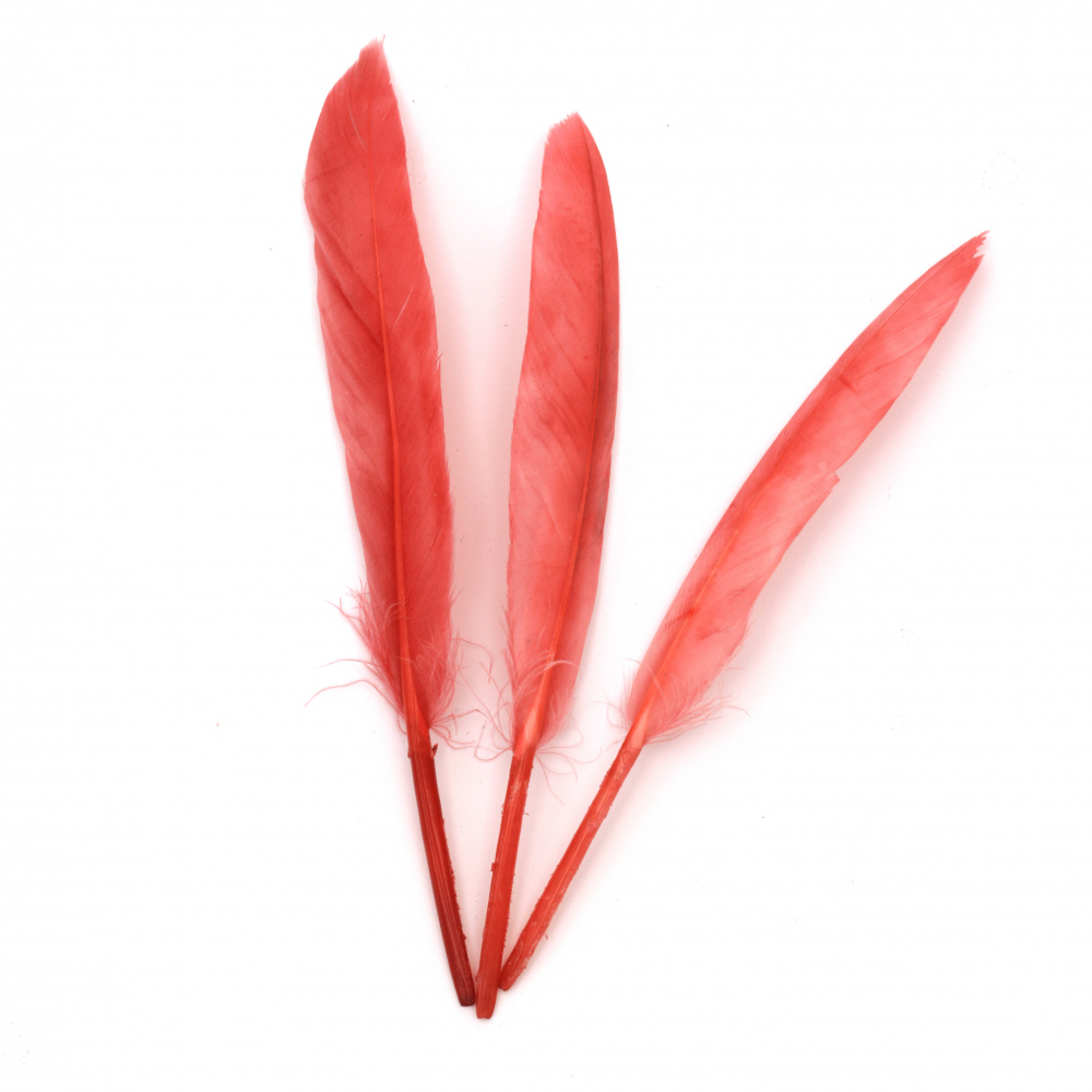 Feathers for Decoration, Coral color 100~150x15~20 mm - 10 pieces