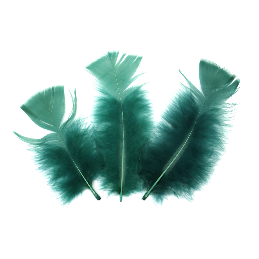 Feathers for Decoration color emerald green 120~170x35~40 mm - 10 pieces
