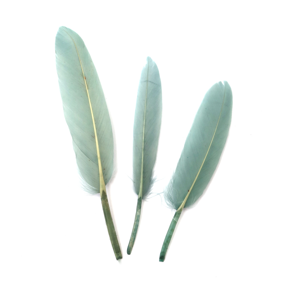 Feathers for Decoration color pastel blue 100~150x15~20 mm - 10 pieces
