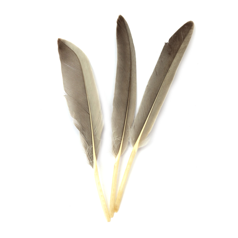 Feathers for Decoration color gray melange 100~150x15~20 mm - 10 pieces
