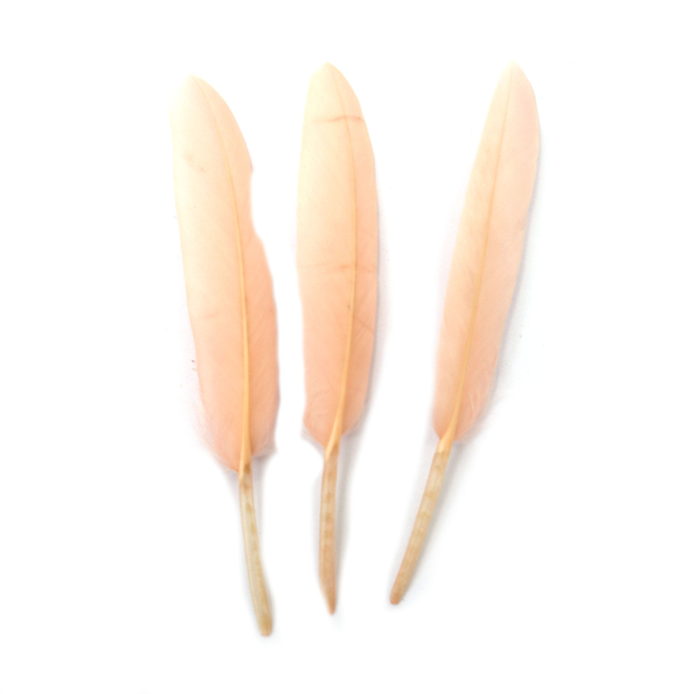 Peach Pastel Feathers for Decoration, 100~150x15~20 mm - 10 Pieces