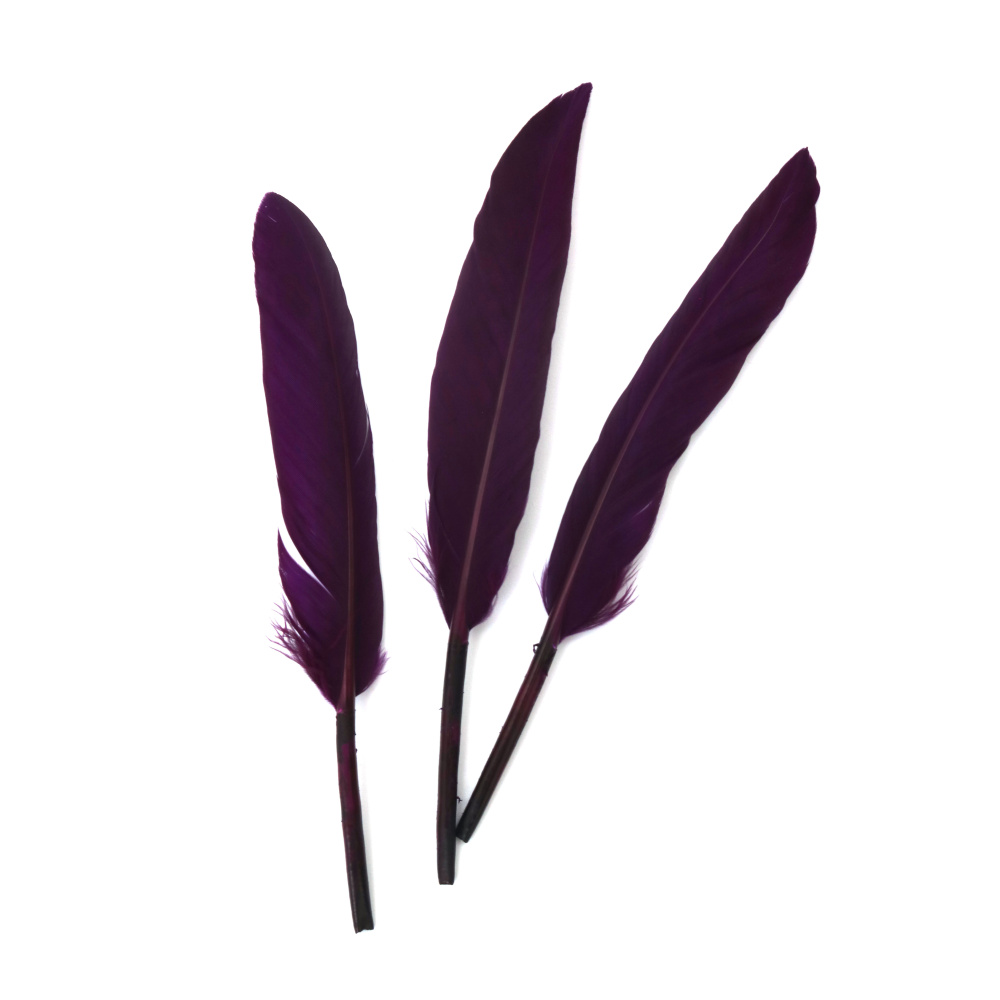 Dark Purple Feathers for Decoration, 100~150x15~20 mm - 10 Pieces