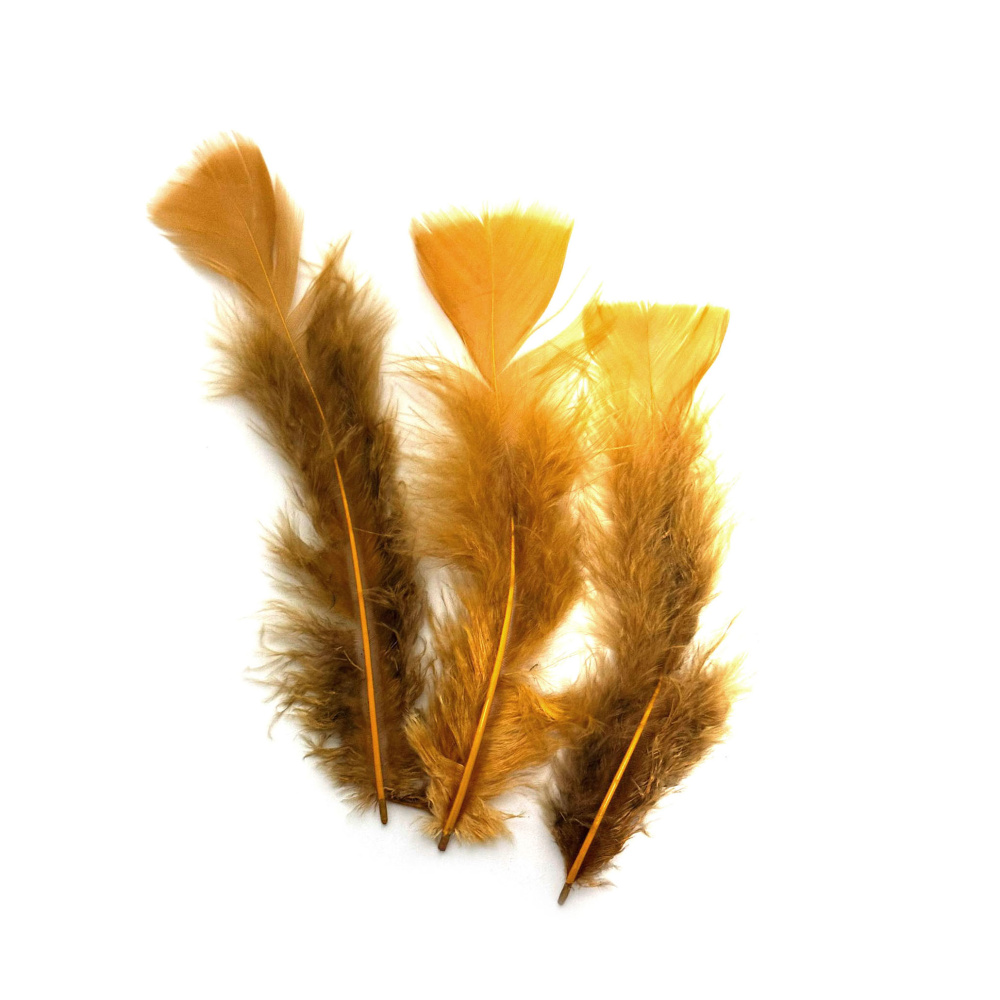 Warm Decorative Feathers 120~170x35~40 mm – Cinnamon Color, Set of 10 for Rustic Crafts, Autumn Decorations & Natural DIY Projects