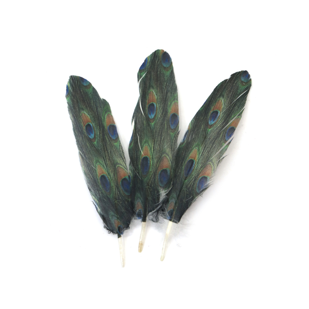 Artistic Decorative Feathers 120~170x35~40 mm – Peacock Print, Set of 5 for Exotic Crafts, Stylish Decorations & Creative Projects