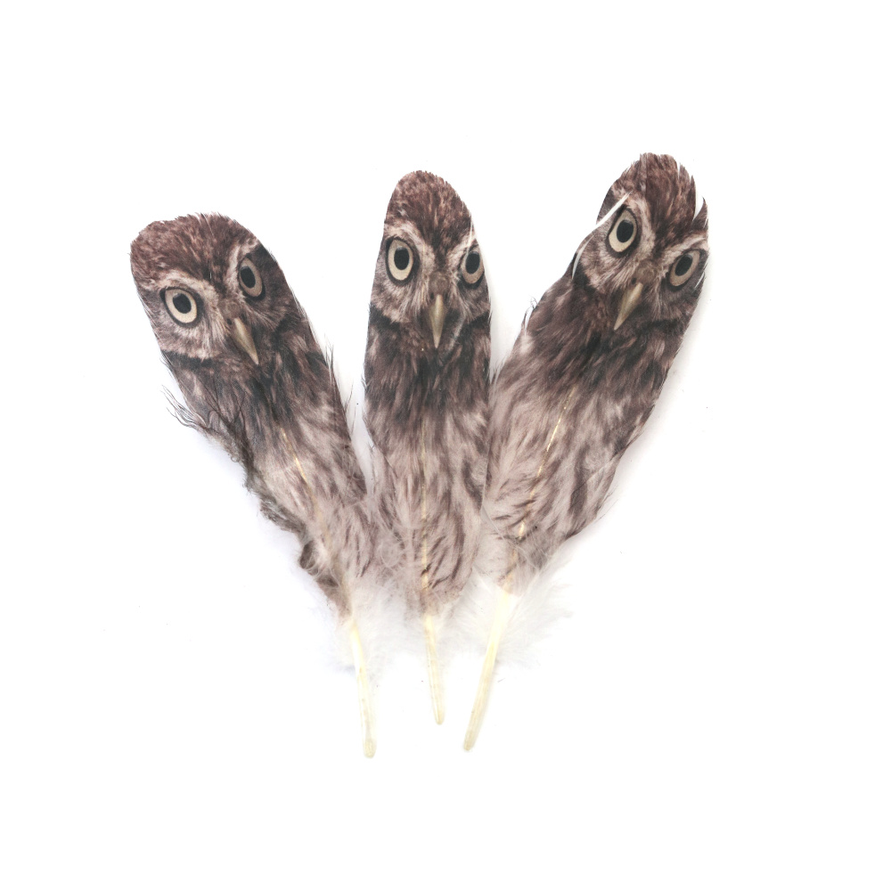 Creative Decorative Feathers 120~170x35~40 mm – Owl Print, Set of 5 for Fun Crafts, DIY Decorations & Themed Projects