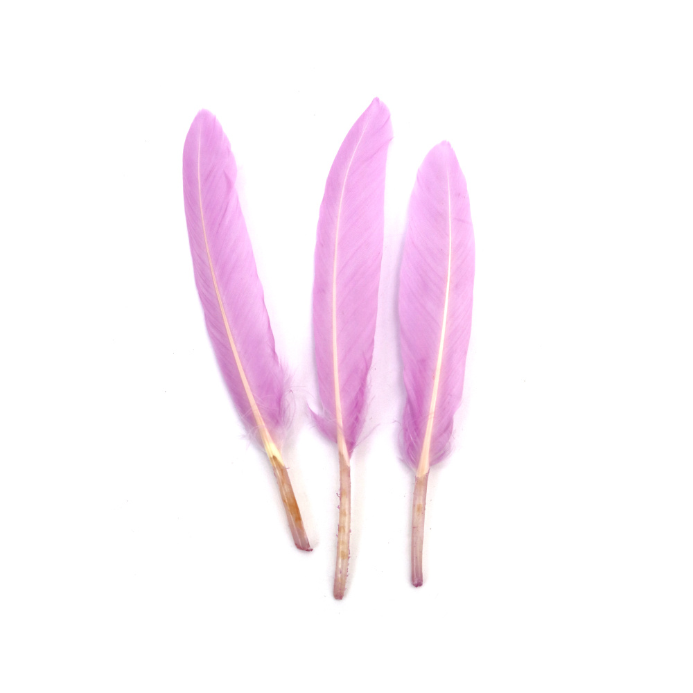 Pene decorative încântătoare 100~150x15~20 mm – culoare roz-mov, set de 10 pentru proiecte handmade romantice, decor festiv și creații artistice