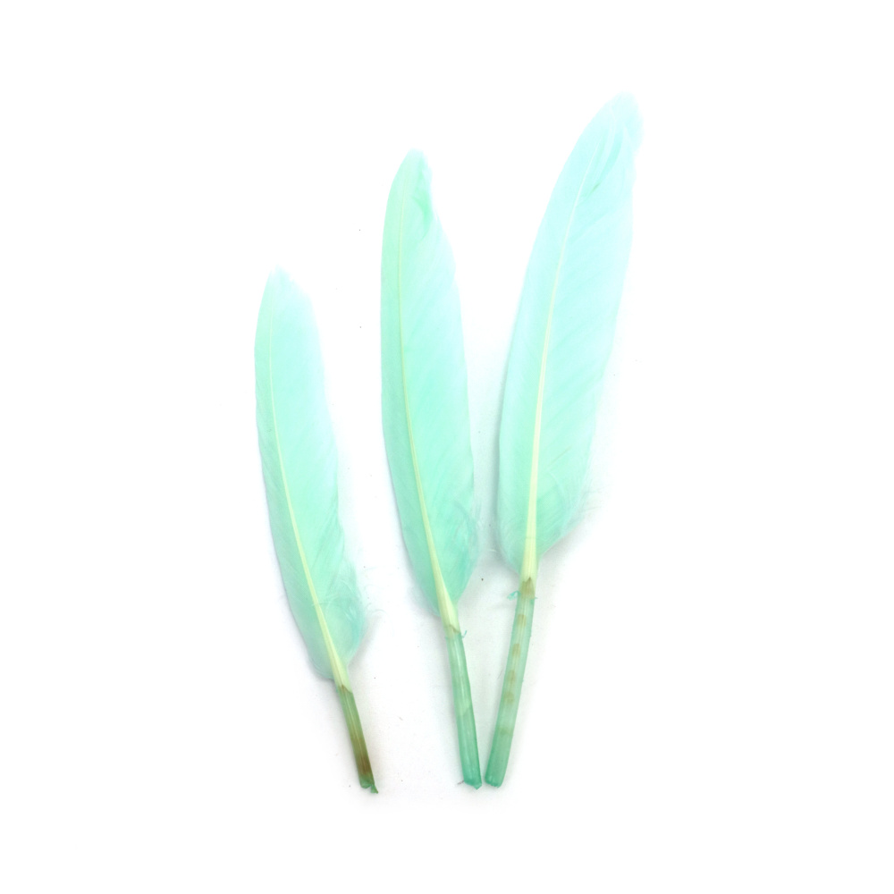 Pene decorative 100~150 x 15~20 mm – culoare mentă, set 10 bucăți, pentru crafturi de primăvară, decorațiuni elegante și proiecte creative DIY și handmade