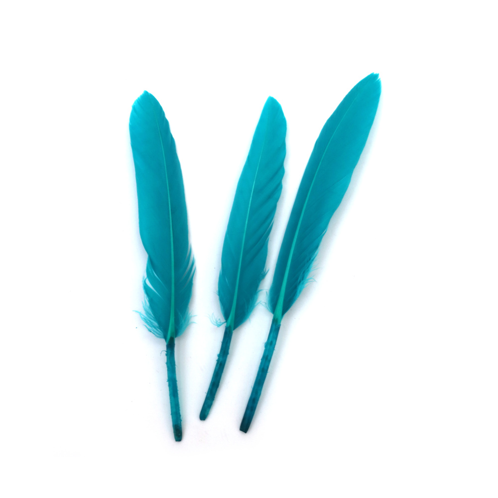 Pene decorative 100–150 x 15–20 mm – turcoaz închis, set de 10 pentru hobby & craft, DIY, decor festiv și proiecte cu tematică marină