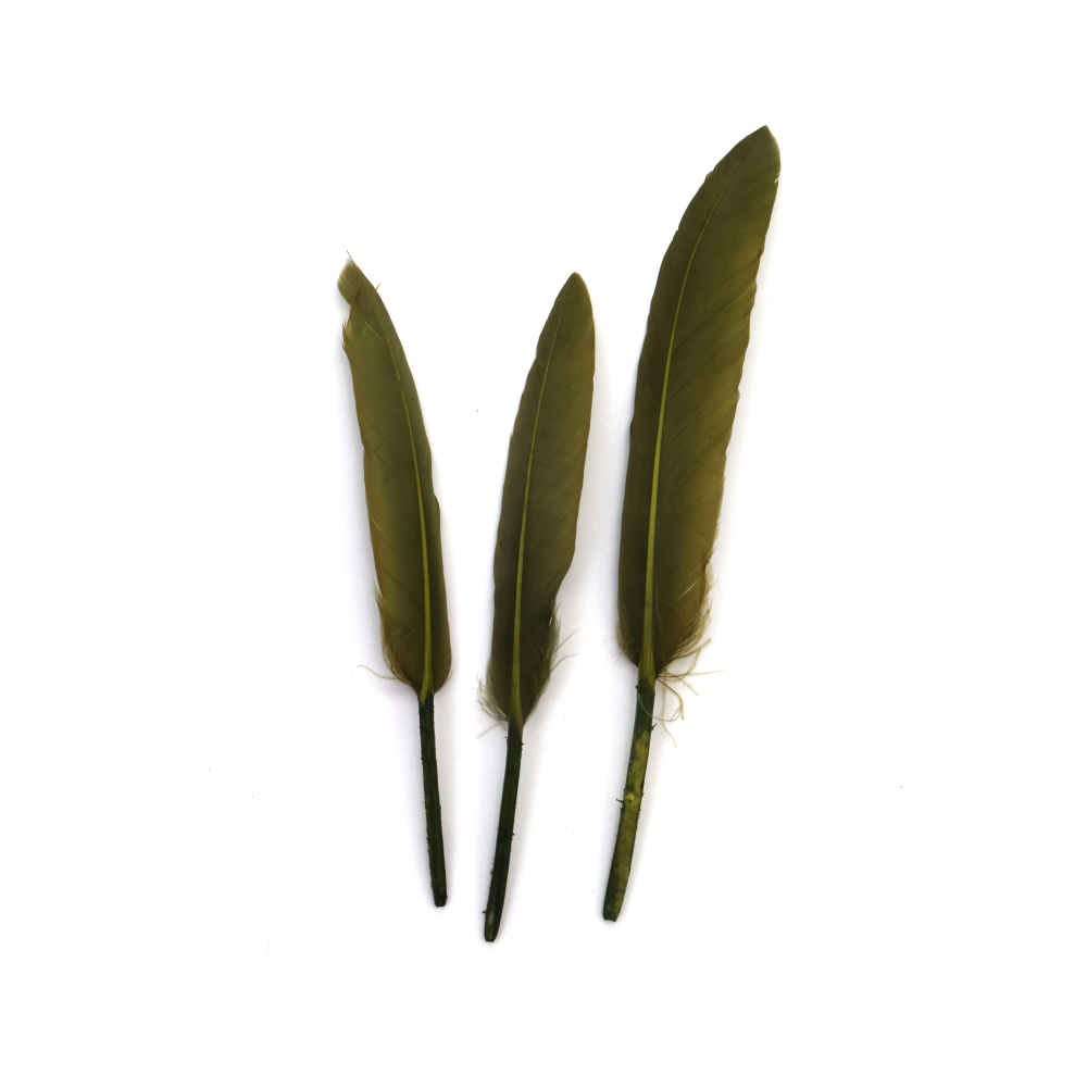 Pene Decorative 100–150 x 15–20 mm – Verde Măsliniu, Set de 10 pentru Crafturi Rustice, Decorațiuni Elegante și Proiecte DIY Creative