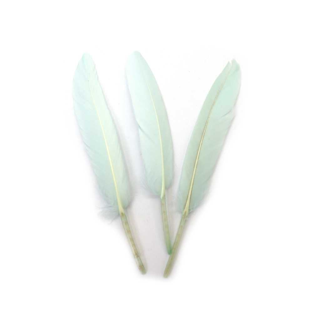 Decorative Feathers 100~150x15~20 mm – Pale Blue Color, Set of 10 for Wedding Décor, Baby Showers & Elegant Crafts