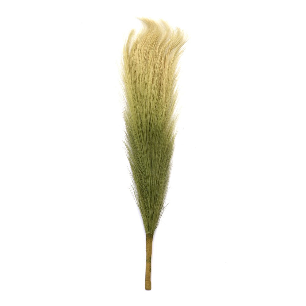 Pampas Grass Bouquet for Decoration, 400 mm, Green Color - 7 Stems