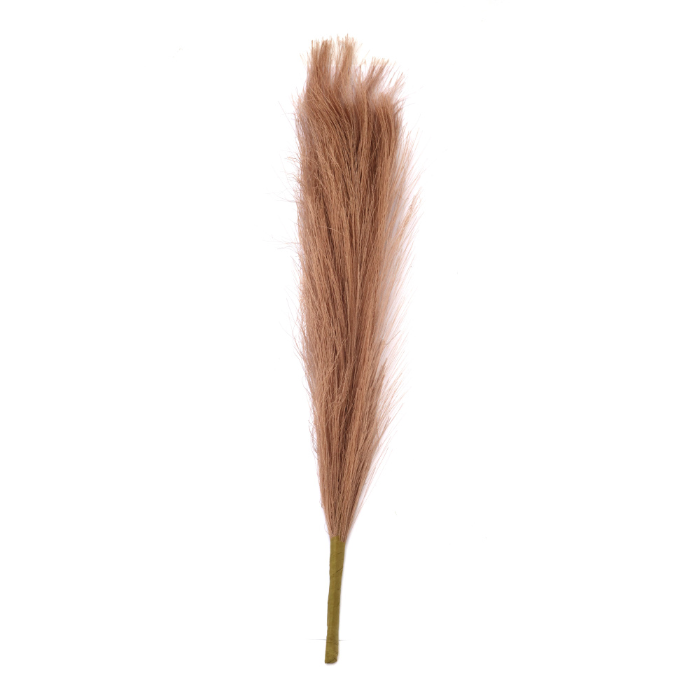 Pampas Grass Bouquet for Decoration, 400 mm, Dark Beige Color - 7 Stems