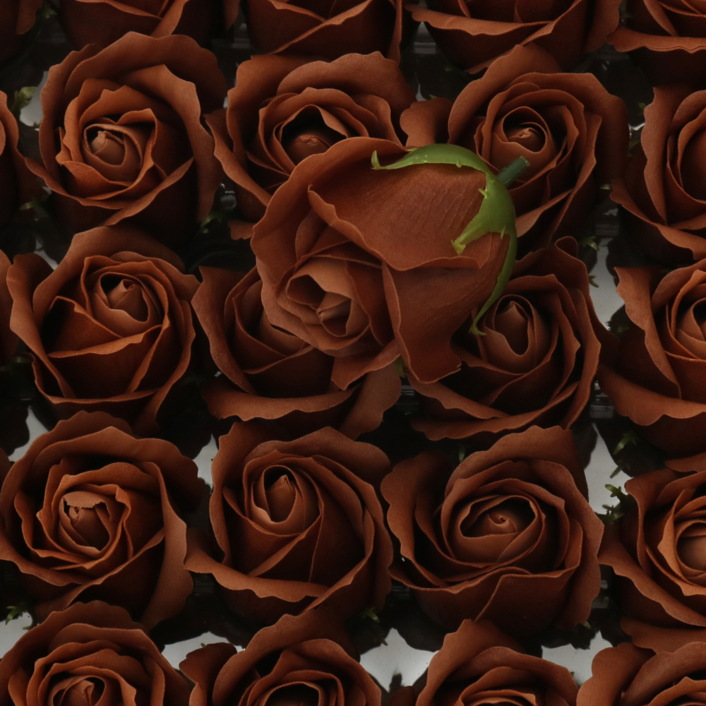 Soap-Scented Rose, Brown Color, 50 mm