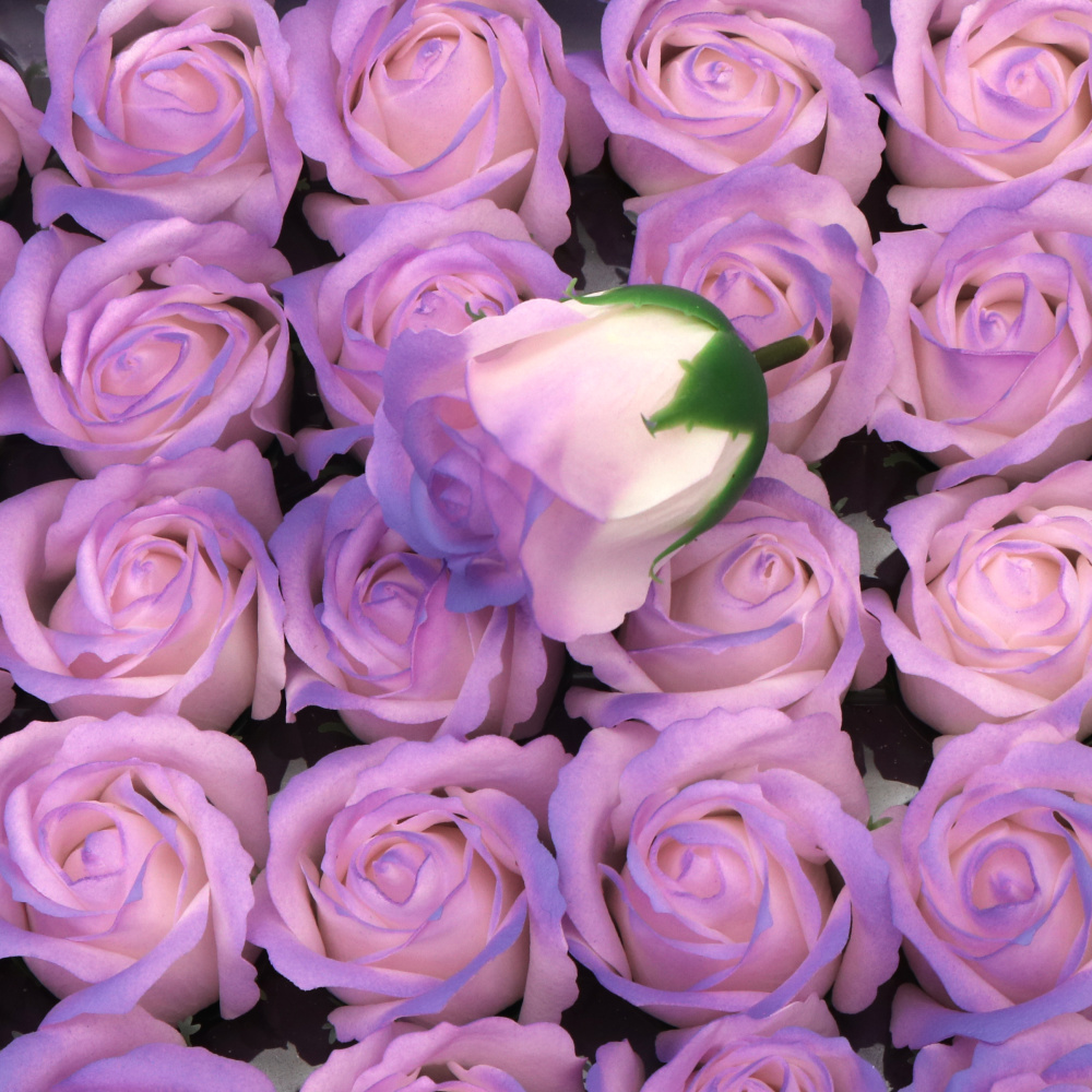 Soap-Scented Rose, White and Purple Melange Color, 50 mm