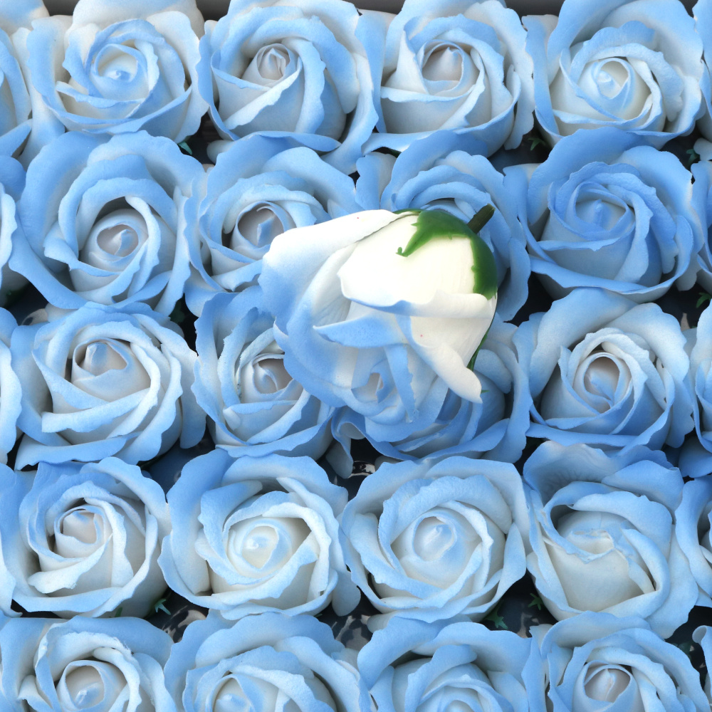 Soap-Scented Rose, White and Blue Melange Color, 50 mm