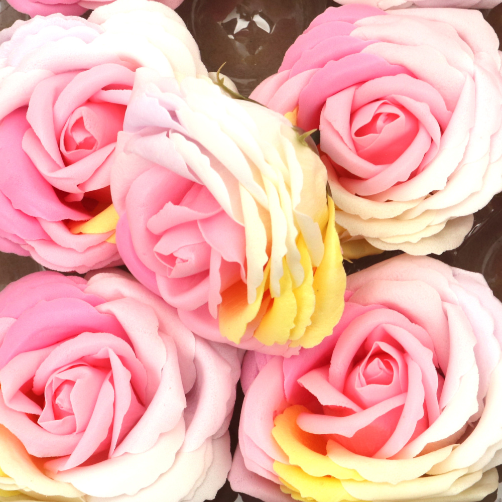 Soap-Scented Rose, White, Yellow, and Pink Melange Color, 80 mm