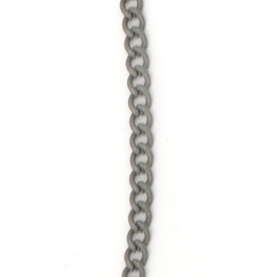 Metal Chain for Necklace, Bracelet, Earrings Making / 3x2x0.6 mm / Gray  - 1 meter