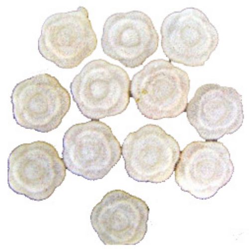 Plastic Rose Bead with Moss Finish / 14 mm / White - 50 pieces