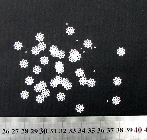 Λουλούδι πούλια 10 mm με τρύπες λευκό -20 γραμμάρια