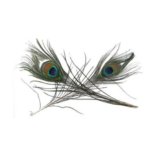 Peacock feather for decoration 25-30 cm