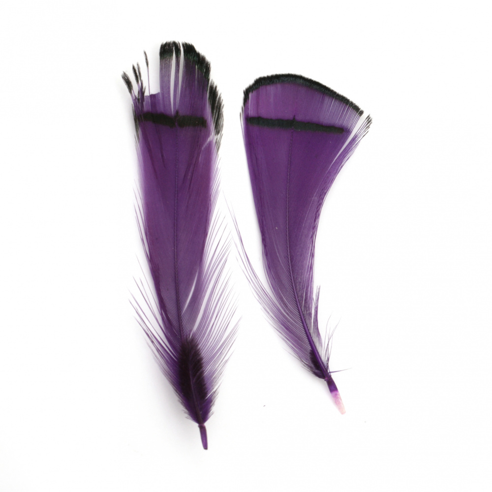 Feather for decoration 30~60 mm purple and black - 10 pieces