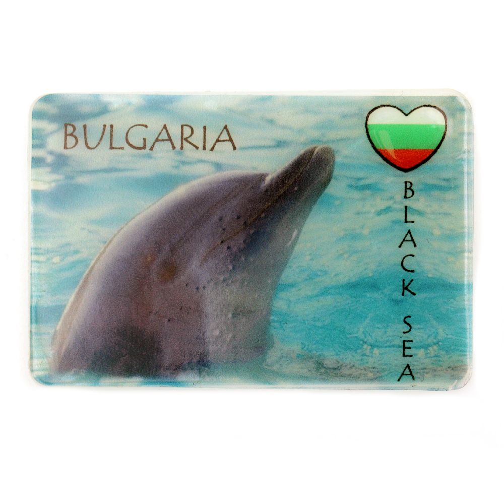 Souvenir magnet luminous 74x50 mm plastic dolphin