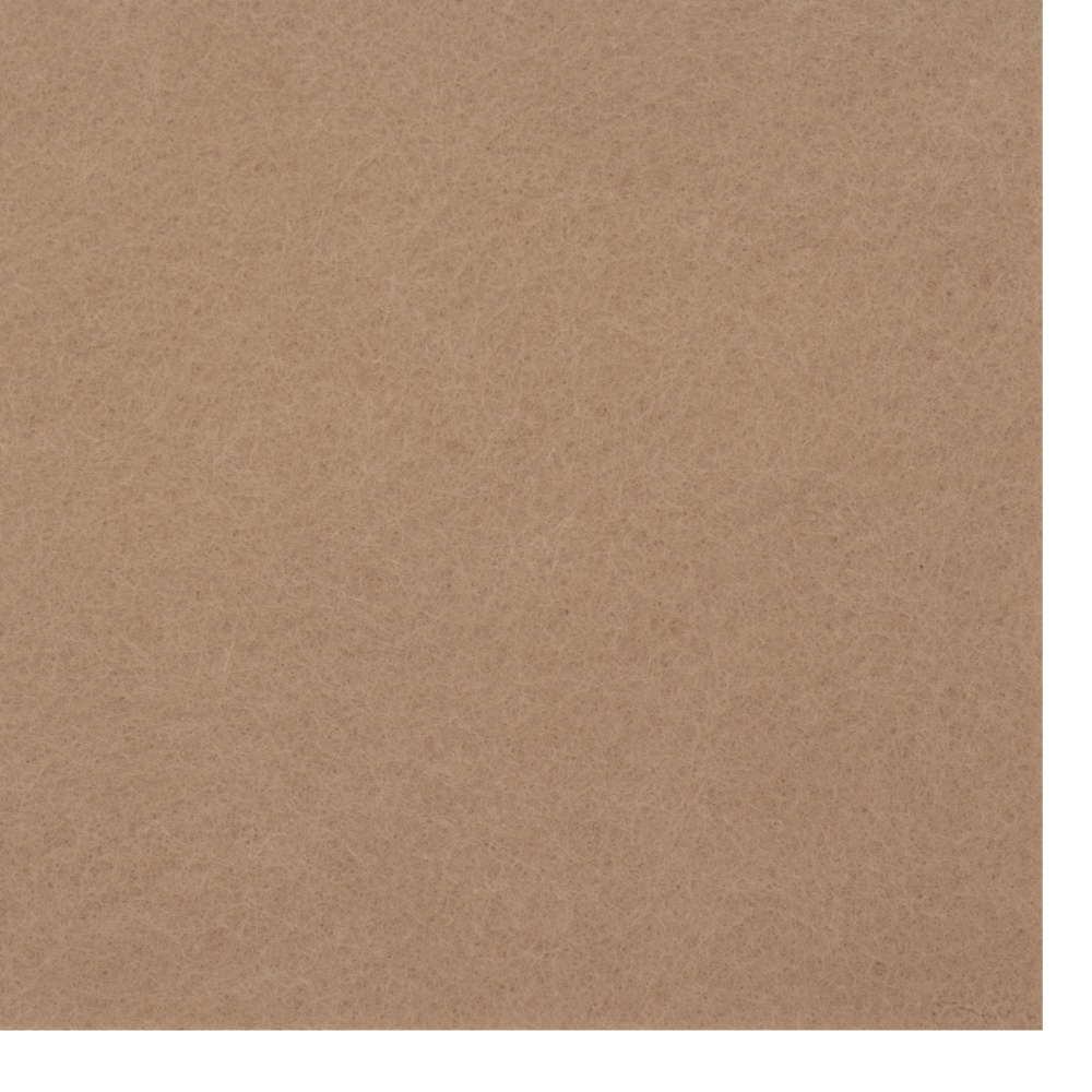 Acrylic Felt, 2 mm Thick, A4 Size (20x30 cm), Light Brown Color - 1 Sheet