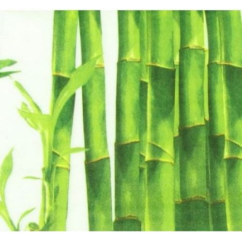 Napkin for Decoration Decoupage  Bamboo 2-ply, 33x33cm, 1 piece