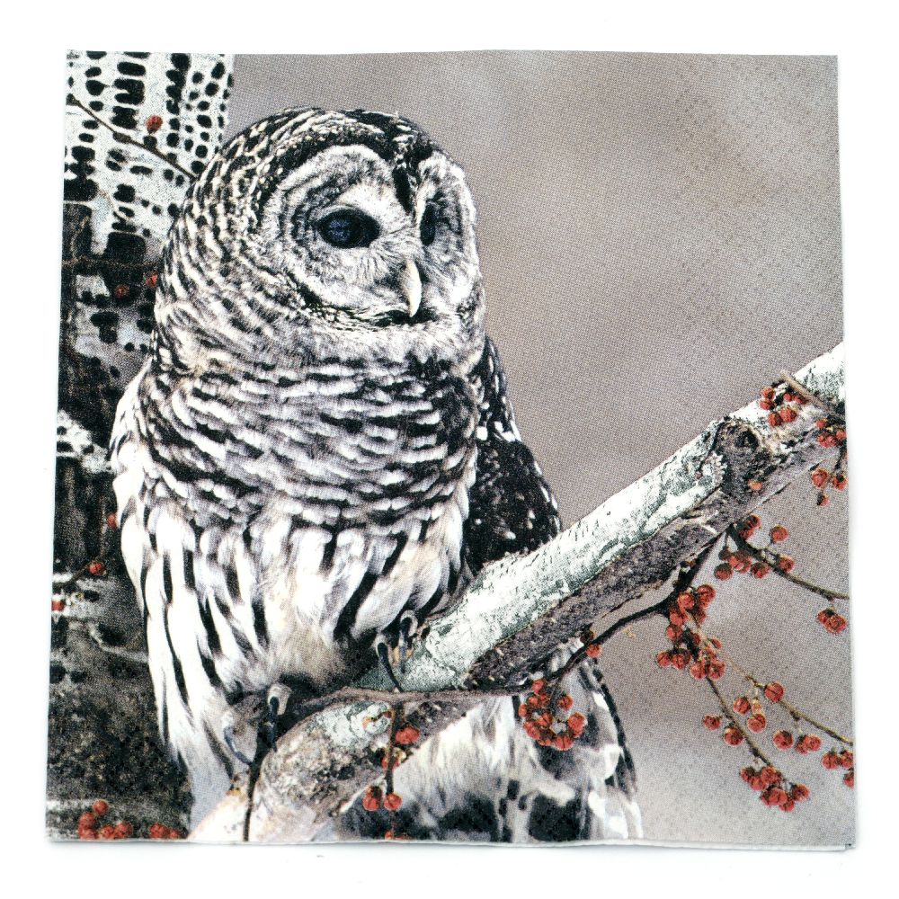 Napkin HOME FASHION for decoupage33x33 cm three-layer Snow Owl -1 piece