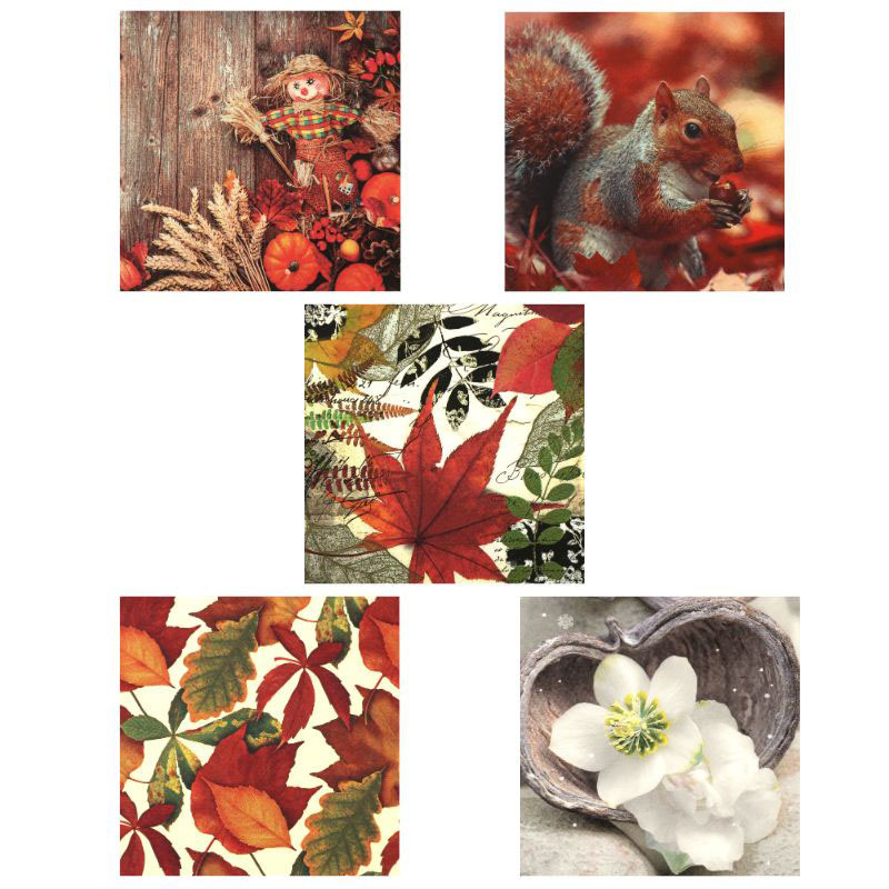 Decoupage Napkins Ti-Flair, 33x33 cm, Three-Ply, 5 Designs, Assorted Autumn - 5 pieces