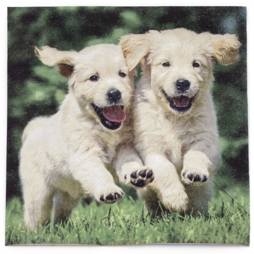 3-Ply Paper Napkin TI-FLAIR for Decoupage / Happy Puppies /   33x33 cm - 1 piece