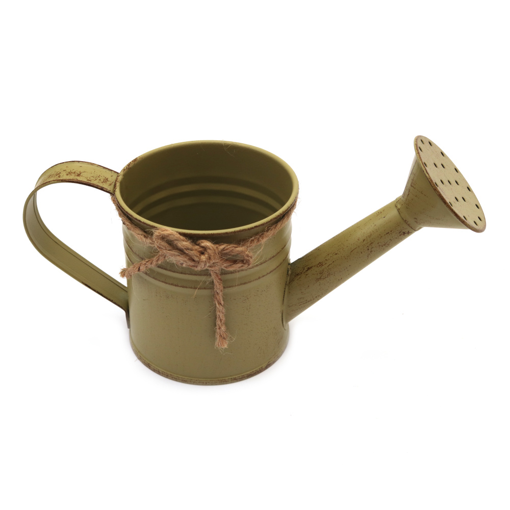 Decorative Metal Watering Can 100x190x80 mm color green