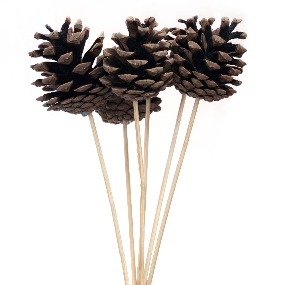 Decoration stick Wooden Cones 45 ~ 65 mm -6 pieces