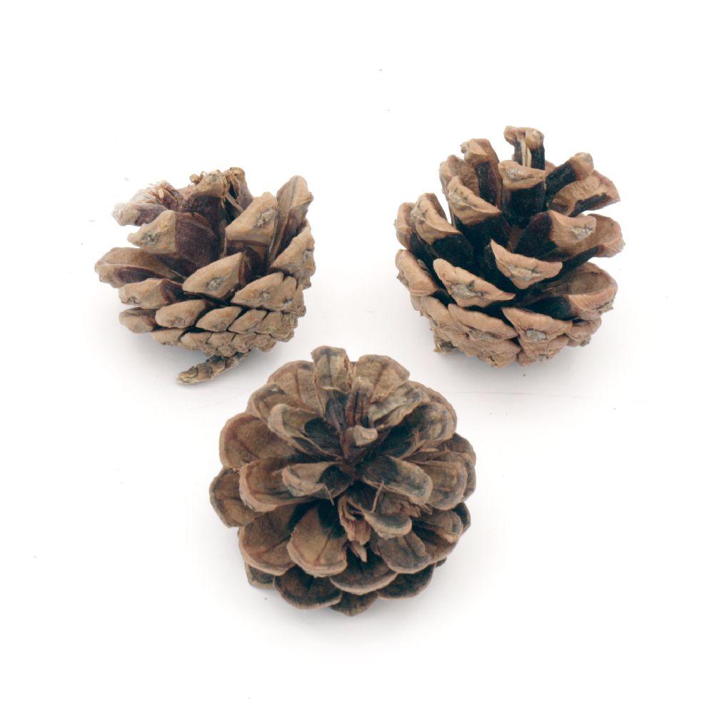 Decorative Pine Cones, 40~45x40~45 mm - Pack of 5