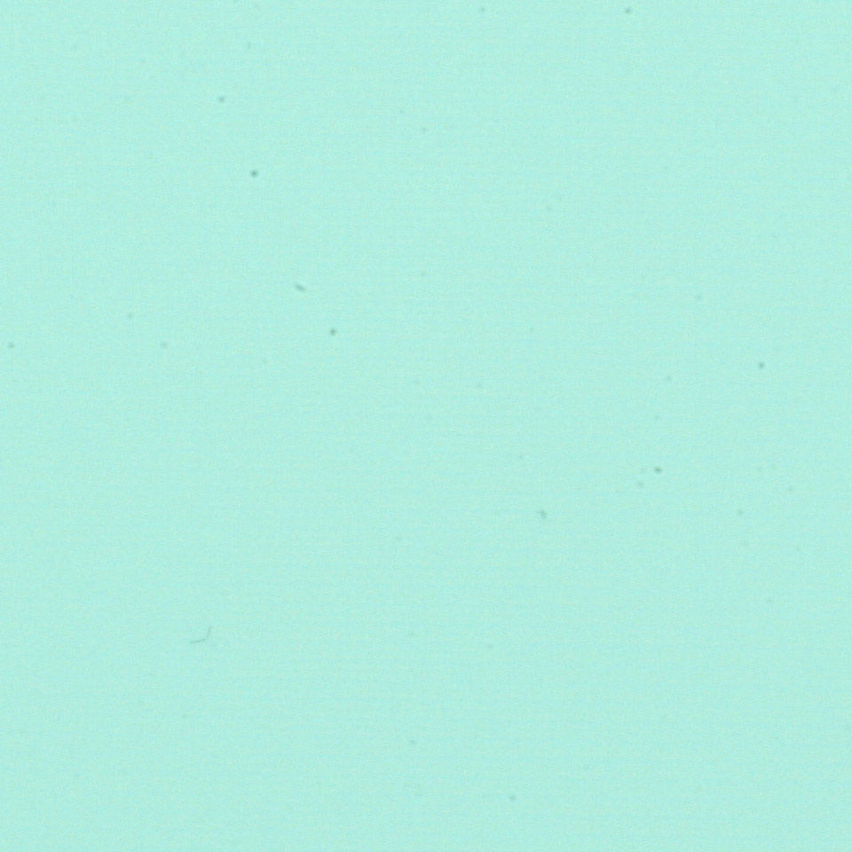 Σελοφάν φύλλο ματ 60x60 cm χρώμα πράσινο -1 φύλλο