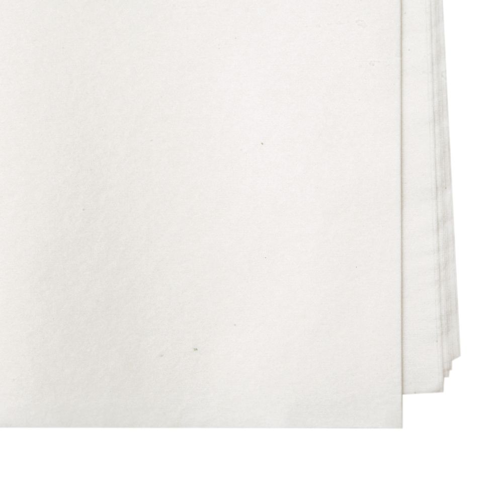 Tissue Paper for Decoration White 50x65cm 10 sheets