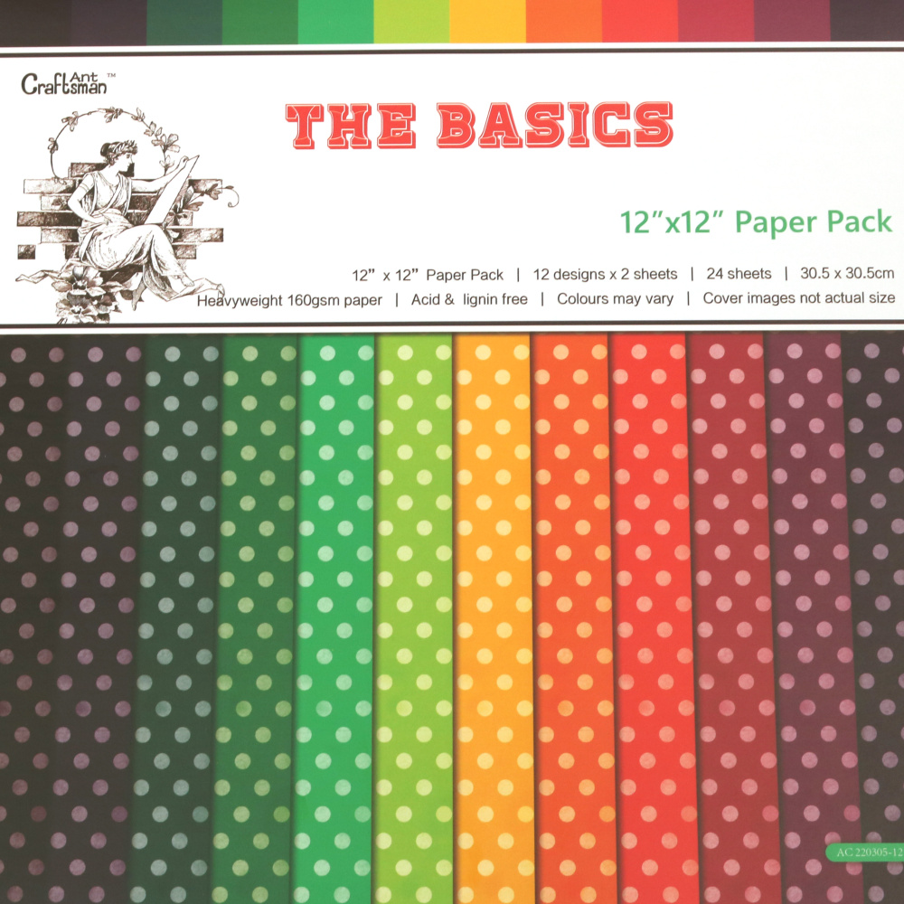 THE BASICS Design Paper Pack of 24 Sheets: 12 Patterns Designs x 2 Sheets Each, Heavyweight 160gsm Paper, Perfect for Scrapbooking, DIY Arts and Crafts, Size: 12inchx12inch / 30.5x30.5 cm
