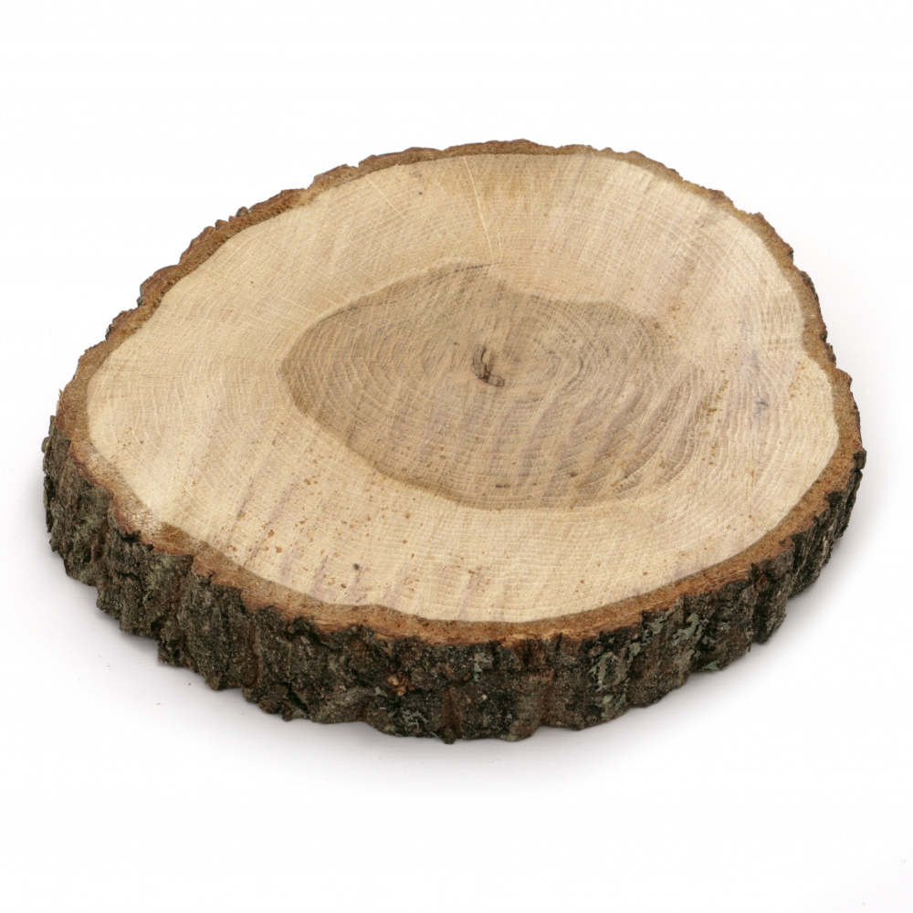Ροδέλα από κορμό ξύλου 190~200x30 mm για διακόσμηση